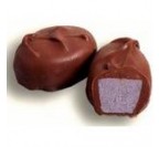 Milk Chocolate Black Raspberry Sherbet Cream